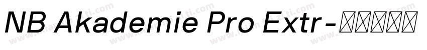 NB Akademie Pro Extr字体转换